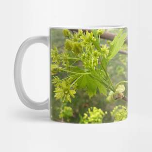 Maple Flowers Mug